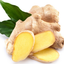 Zingiber officinalis (Ginger) Extract