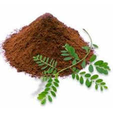 Phyllanthus niruri Extract