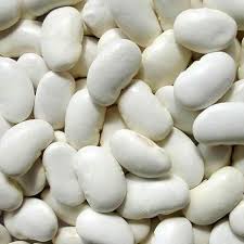 White Kidney Bean Extract