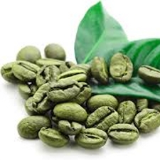 Green coffee bean Extract