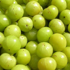 Embelica officinalis (Amla) Extract