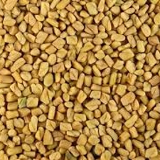 Fenugreek (Methidana) Extract